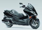 2008 Honda Forza EX photo
